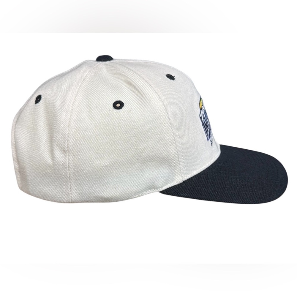 Rare Twins Enterprises 1998 Tampa Bay Devil Rays Inaugural Season Snapback Hat - Picture 8 of 13